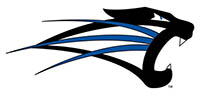 DT Image